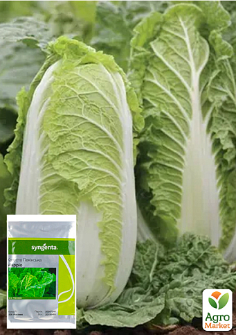 Капуста пекінська "Маріо F1" ТМ "Syngenta" 2500шт