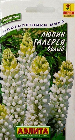 Люпин "Галерея белый" ТМ "Аэлита" 0.3г