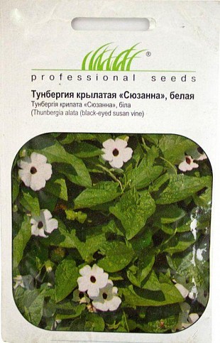 Тунбергия крылатая "Сюзанна", белая ТМ "Hem Zaden" 0,2г