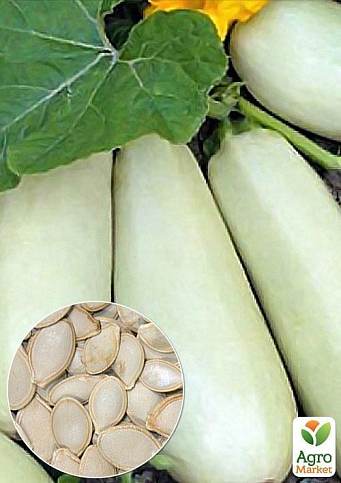 На развес Кабачок "Белоплодный" ТМ "Весна" цена за 8г