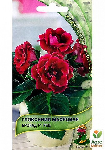 Глоксиния махровая "Брокад Ред" ТМ "Поиск" 5шт