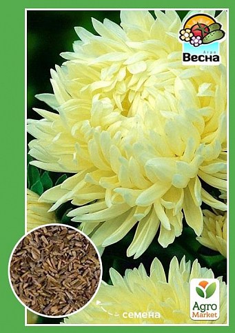 Астра "Букетная" желтая ТМ "Весна" 0.2г