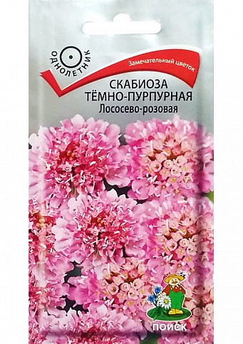 Скабиоза темно-пурпурная "Лососево-розовая" ТМ "Поиск" 0.2г