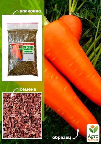 Морковь "Московская зимняя" ТМ "Весна" 100г
