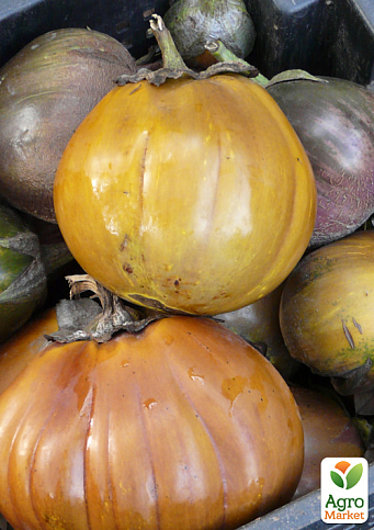 Баклажан "Вероника" ТМ "Vesna Select" 20шт