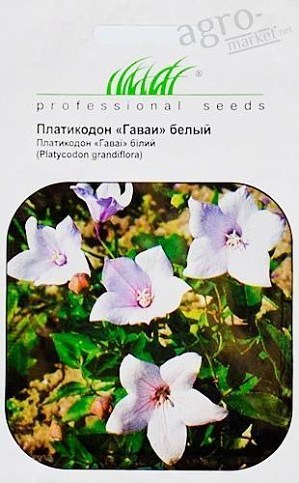 Платикодон белый "Гаваи" ТМ "Hem Zaden" 0.1г