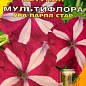 Петуния Мультифлора "Ура Парпл Стар" ТМ "Май" 10шт