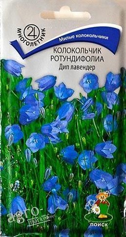 Колокольчик Ротундифолиа "Дип лавендер" ТМ "Поиск" 0.01г
