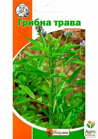 Грибна трава ТМ "Яскрава" 1г