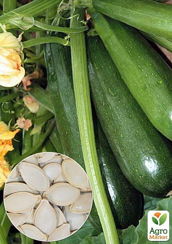 На вагу Кабачок "Цукеша" ТМ "Весна" ціна за 8г