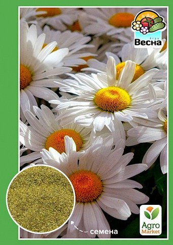Ромашка крупноцветковая белая ТМ "Весна" 0.5г