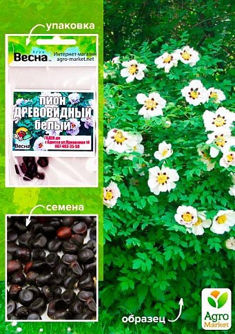Пион "Древовидный" (белый) (Зипер) ТМ "Весна" 7шт