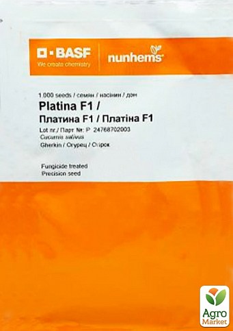 Огірок "Платина F1" ТМ "Nunhems Zaden" 1000шт