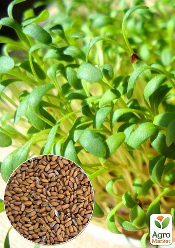 На вагу Кресс-салат ТМ "Весна" ціна за 3г