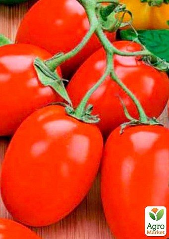 Томат детерминантный "Рио Фуего" ТМ "Lark Seeds" 500г