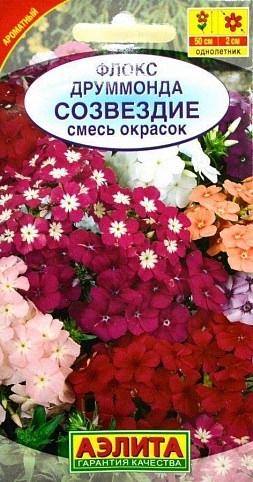 Флокс Друммонда Созвездие "Смесь Окрасок" ТМ "АЭЛИТА" 0.3г