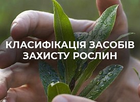 Засоби захисту рослин: що це і які препарати бувають - корисні статті про садівництво від Agro-Market