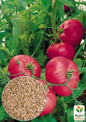 На вагу Томат "Бренді рожевий" ТМ "Весна" ціна за 1г