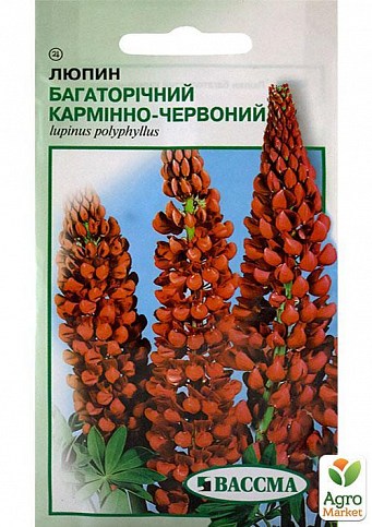 Люпин багаторічний "Карміна-червоний" ТМ "ВАССМА" 0.5г