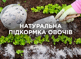 Найкращі натуральні підкормки для овочів | Agro-market