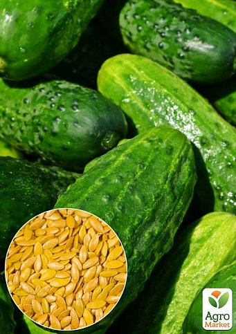 На развес Огурец "Лидер F1" ТМ "Весна" цена за 1г