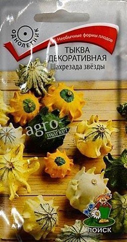Гарбуз декоративна "Шахрезада Зірки" ТМ "ПОШУК" 5шт