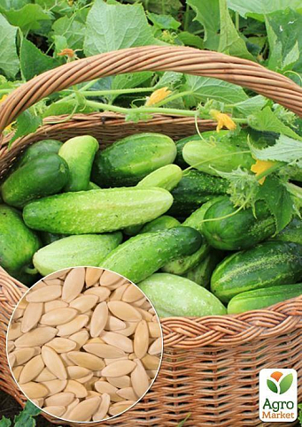 На вагу Огірок "Сремський" ТМ "Весна" ціна за 4г