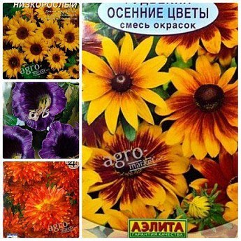 Комплект семян цветов "Безупречная красота" 5уп