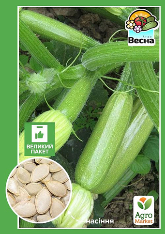 Кабачок "Чаклун" (Великий пакет) ТМ "Весна" 5г