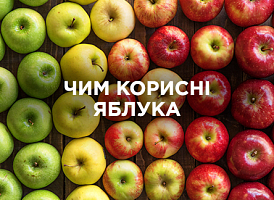 Чим корисні яблука: вплив на організм та поради щодо вживання | Agro-market