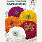 Цинния "Калифорнийские гиганты" ТМ "Семена Украины" 0.5г