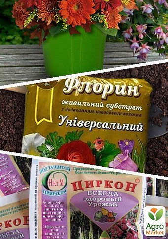 Комплект для вигонки цибулин "Магія квітів"