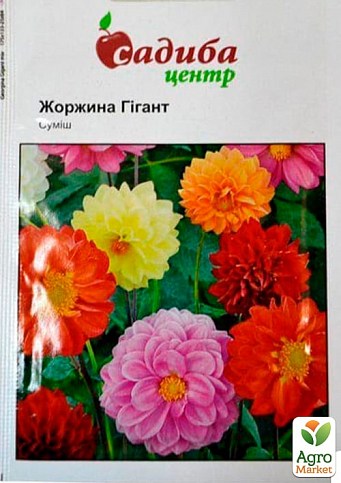 Жоржина "Гігант суміш" ТМ "Садиба центр" 0.1г