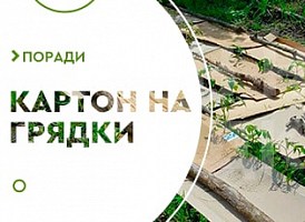 Мульчування картоном - корисні статті про садівництво від Agro-Market