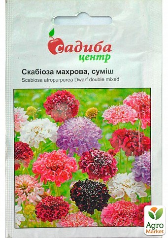 Скабиоза "Махровая смесь" ТМ "Садиба центр" 0.3г
