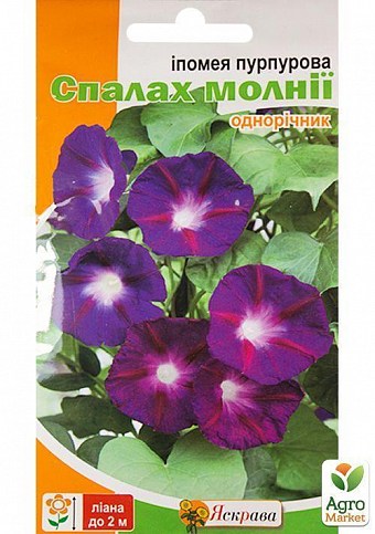 Іпомея пурпурова "Спалах блискавки" ТМ "Яскрава" 1г