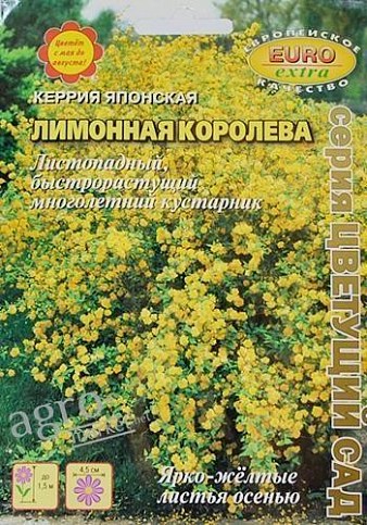 Керрия японская "Лимонная королева" ТМ "Аэлита" 0.1г