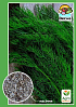 Укроп "Грибовский" ТМ "Весна" 2г
