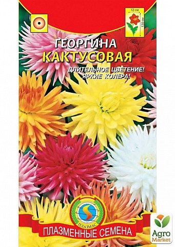 Георгина Кактусовая (смесь) ТМ "Плазменные семена" 12шт
