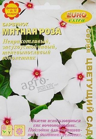 Барвінок "М'ятна троянда" ТМ "АЕЛІТА" ...