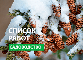 Роботи в саду в лютому - корисні статті про садівництво від Agro-Market