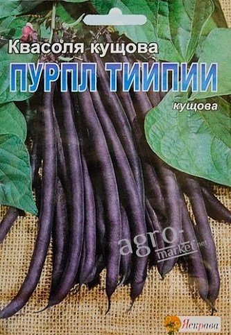 Квасоля "Пурпл тііпіі" ТМ "Яскрава" 10г