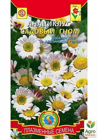 Анаціклус "Садовий гном" ТМ "Плазмові насіння" 0,02 г