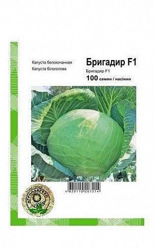 Капуста білокачанна "Бригадир F1" ТМ "Nunhems" 100шт