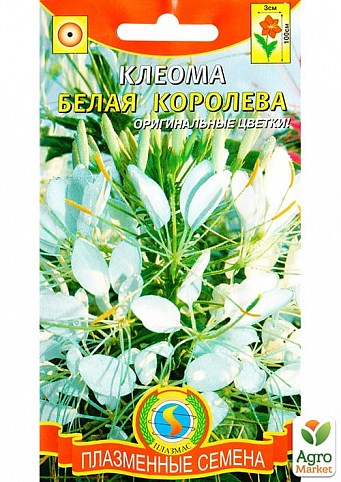Клеома "Біла Королева" ТМ "Плазмові насіння" 0,2г NEW