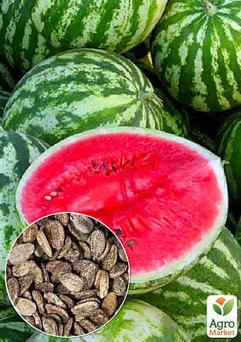 На развес Арбуз "Фараон" ТМ "Весна" цена за 6г