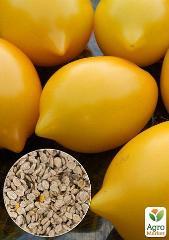 На вагу Томат "Диво світу" ТМ "Весна" ціна за 1г