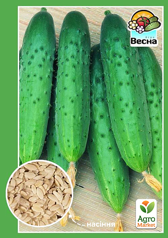 Огурец "Ира F1" ТМ "Весна" 0.5г