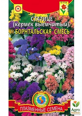 Кермек выемчатый "Борнтальская смесь" ТМ "Плазменные семена" 0,1г
