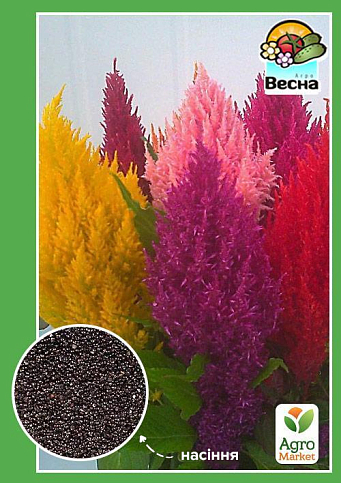 Целозия "Перистая" ТМ "Весна" 0.3г